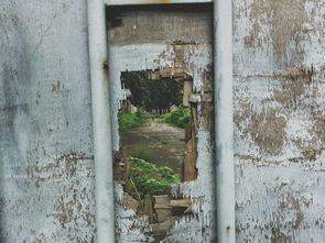 中国第二次疫情封城(脱离“正轨”的旅居人，在逃避什么？)  第1张