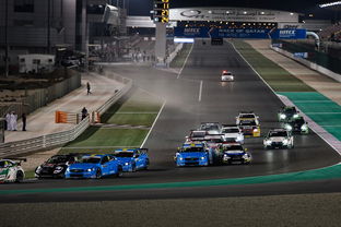 重庆国际快递物流(【开放】重庆国际物流集团来了，未来要搭建3大服务平台)  第1张