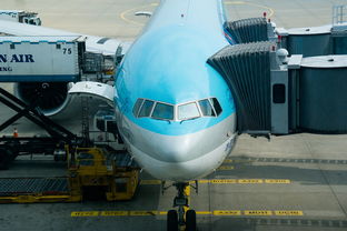 周边物流公司(2025上海物流专线推荐 商贸企业货物调拨公司排名) 第1张 周边物流公司(2025上海物流专线推荐 商贸企业货物调拨公司排名) 第1张